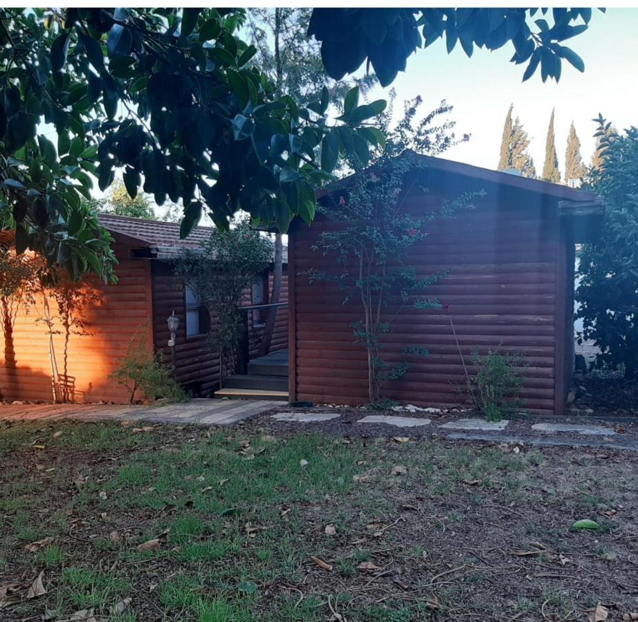 A Fun Holiday In The Galilee Sede Eli'ezer Exterior foto